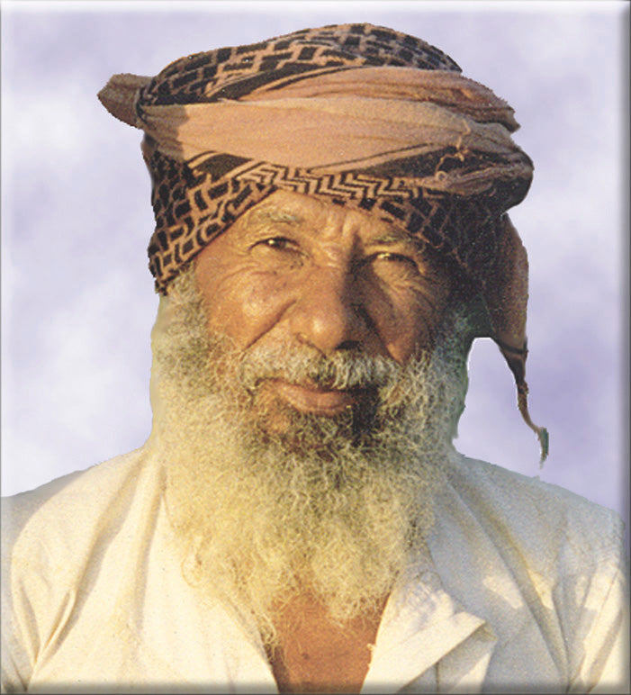 Arabic Bible Software